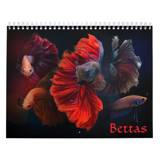 Betta vis Kalender (Hoes)