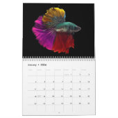 Betta vis Kalender (Jan 2026)