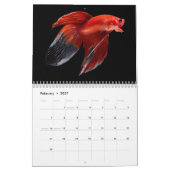 Betta vis Kalender (Feb 2027)