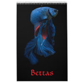 Betta vis Kalender (Hoes)