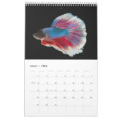 Betta vis Kalender (Mar 2026)
