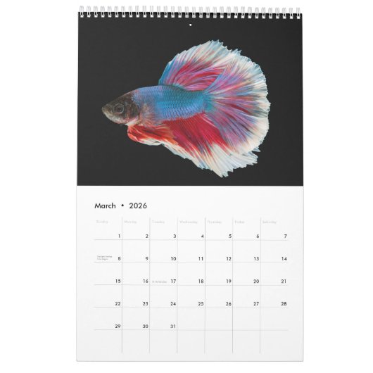 Betta vis Kalender (Mar 2026)