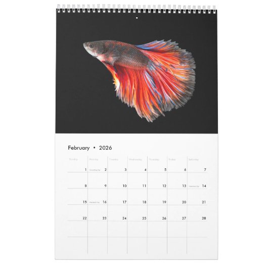 Betta vis Kalender (Feb 2026)
