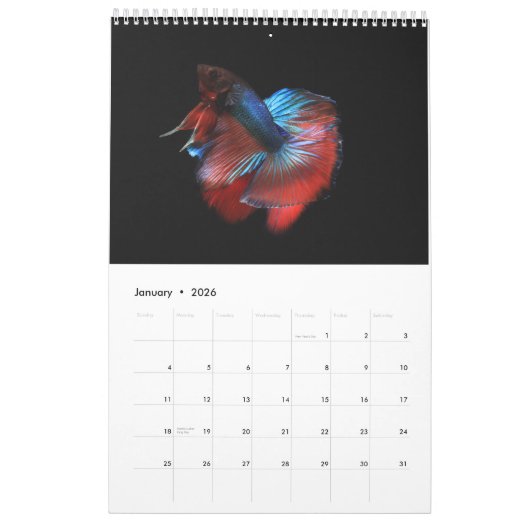 Betta vis Kalender (Jan 2026)