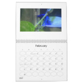 Betta viskalender 2013 kalender (Feb 2027)