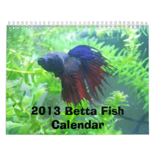 Betta viskalender 2013 kalender