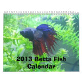 Betta viskalender 2013 kalender (Hoes)