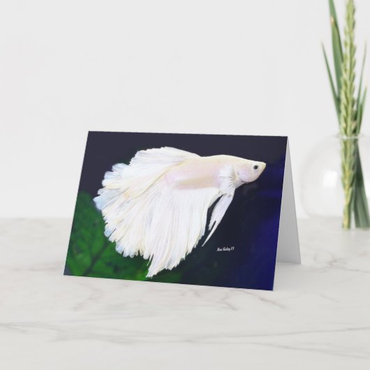 Betta-wenskaart Kaart (Voorkant)