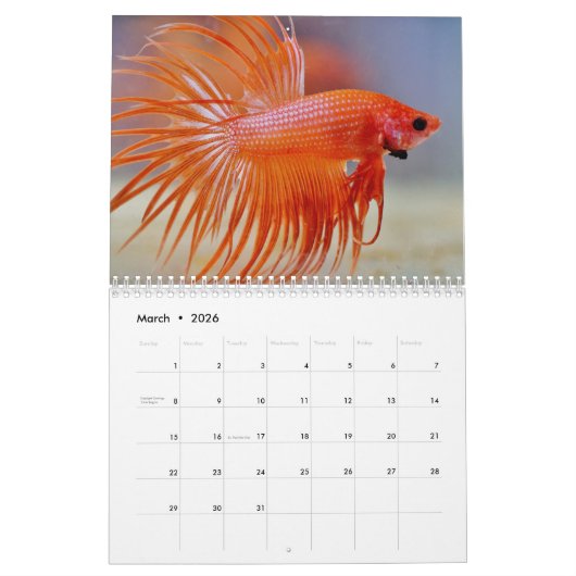 Bettafish 2025 kalender (Mar 2026)