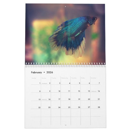 Bettafish 2025 kalender (Feb 2026)