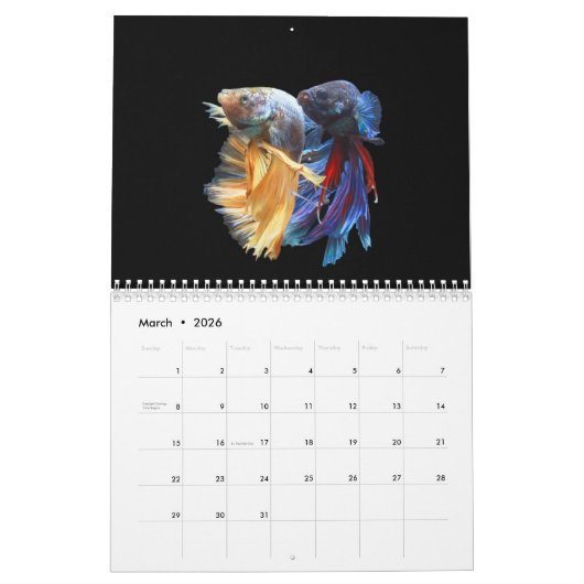 Bettafish 2025 kalender (Mar 2026)