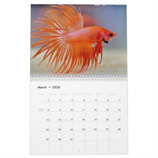 Bettafish 2025 kalender (Mar 2026)