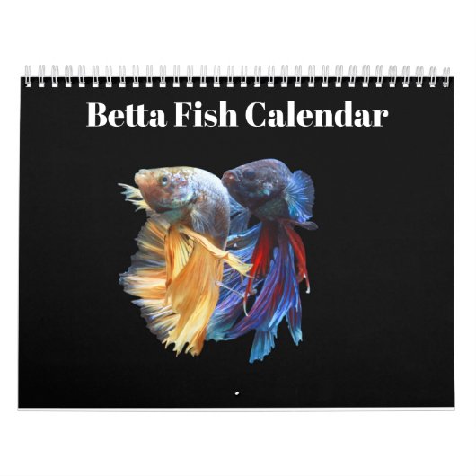 Bettafish 2025 kalender (Hoes)