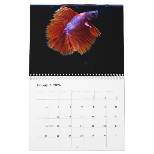 Bettafish 2025 kalender (Jan 2026)