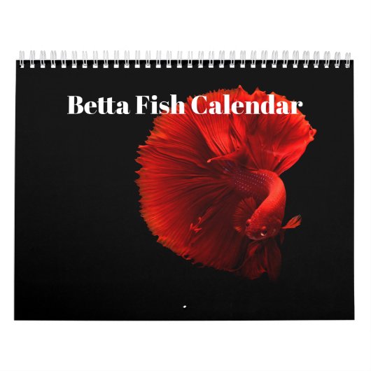 Bettafish 2027 kalender (Hoes)