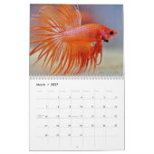 Bettafish 2027 kalender (Mar 2027)