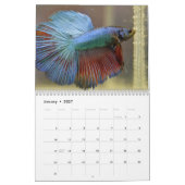 Bettafish 2027 kalender (Jan 2027)