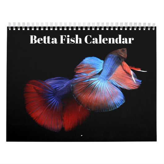 Bettafish 2027 kalender (Hoes)