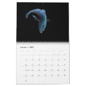 Bettafish 2027 kalender (Jan 2027)