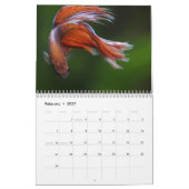 Bettafish 2027 kalender (Feb 2027)