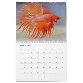 Bettafish 2027 kalender (Mar 2027)
