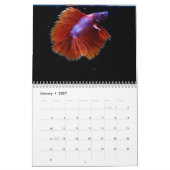 Bettafish 2027 kalender (Jan 2027)