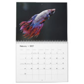 Bettafish 2027 kalender (Feb 2027)