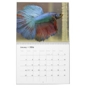 Bettavis Kalender (Jan 2026)