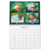 Bettaviskalender 2009 kalender (Mar 2027)