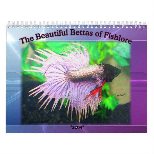 Bettaviskalender 2009 kalender (Hoes)