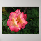 Betty Boop - 24 mei 2009 139 Poster (Voorkant)