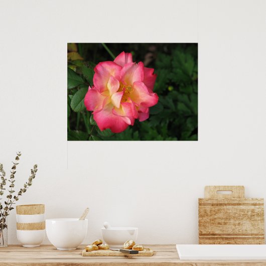 Betty Boop - 24 mei 2009 139 Poster (Keuken)