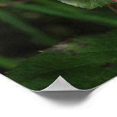 Betty Boop - 24 mei 2009 139 Poster (Hoek)