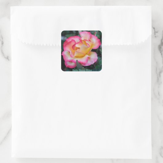 Betty Boop-Roos Vierkante Sticker (Tas)