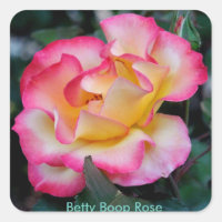 Betty Boop-Roos