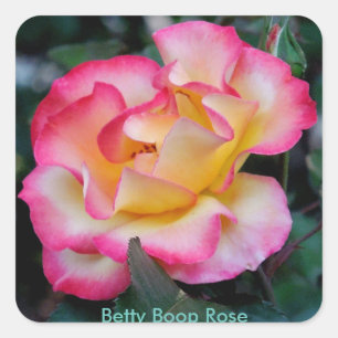 Betty Boop-Roos Vierkante Sticker