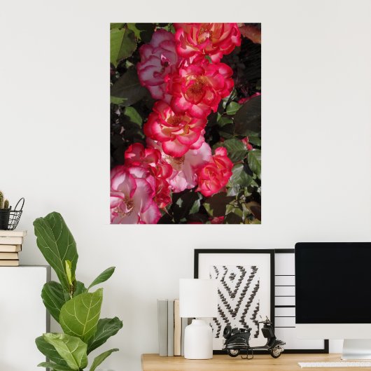 Betty Boop Rozen Poster (Thuiskantoor)