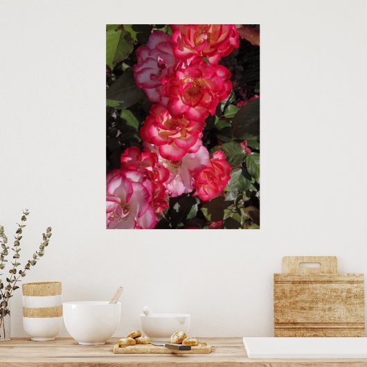 Betty Boop Rozen Poster (Keuken)