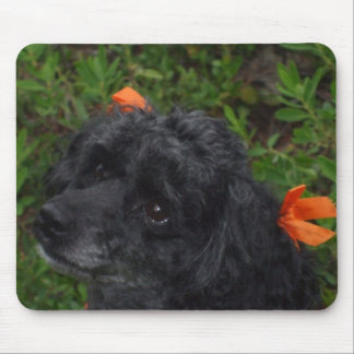 Betty's Baby Muismat