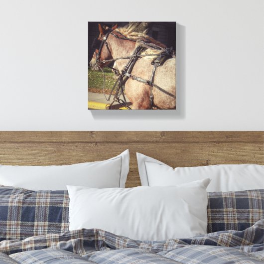 Beuatiful Horse Canvas Afdruk (Insitu (Slaapkamer))