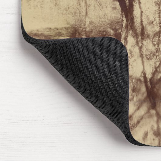 Beuk (door Eugène Atget) Muismat (Hoek)