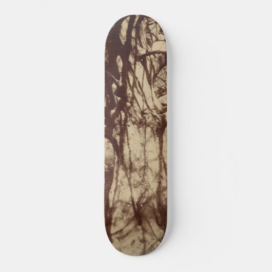 Beuk (door Eugène Atget) Persoonlijk Skateboard (Voorkant)