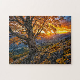 Beuk op heuvelhelling met vos legpuzzel