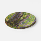 Beukenbomen in het bos (bos) (Paul Ranson) Papieren Bordje (Gekanteld)