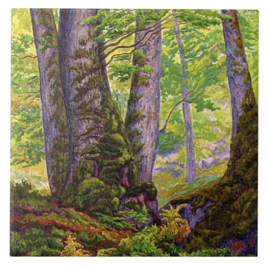 Beukenbomen in het bos (bos) (Paul Ranson) Tegeltje (Voorkant)