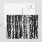 Beukenbomen, witte en steenkoolgrijs / grijs briefkaart (Voorkant / Achterkant)