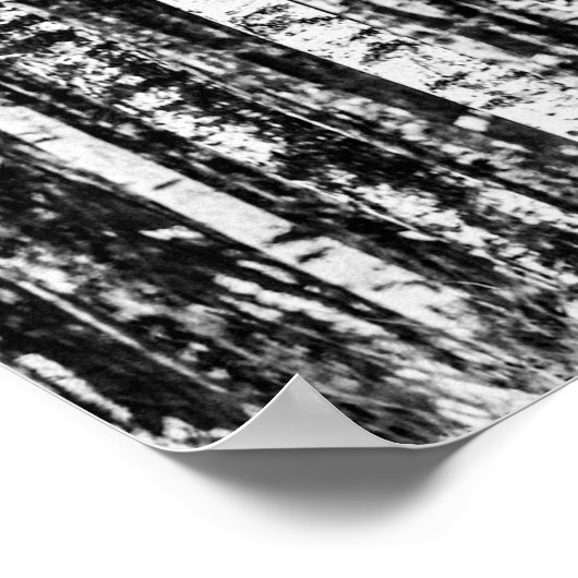 Beukenbomen, witte en steenkoolgrijs / grijs poster (Hoek)