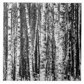 Beukenbomen, witte en steenkoolgrijs / grijs tegeltje (Voorkant)