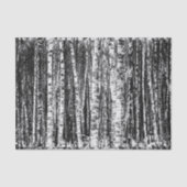 Beukenbomen, witte en steenkoolgrijs / grijs tissuepapier (Voorkant)