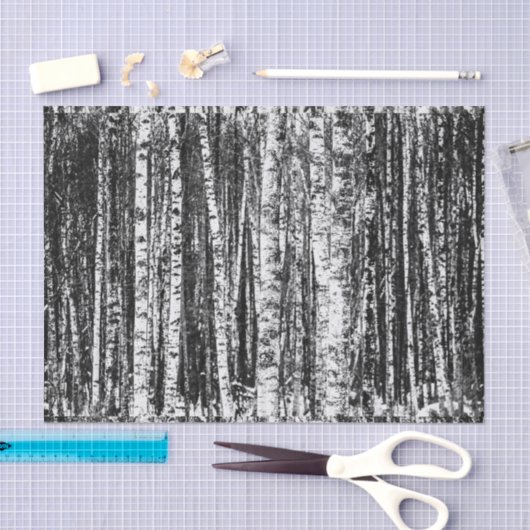 Beukenbomen, witte en steenkoolgrijs / grijs tissuepapier (Craft)